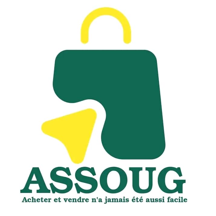 Demande d’investissement – Projet Assoug.net